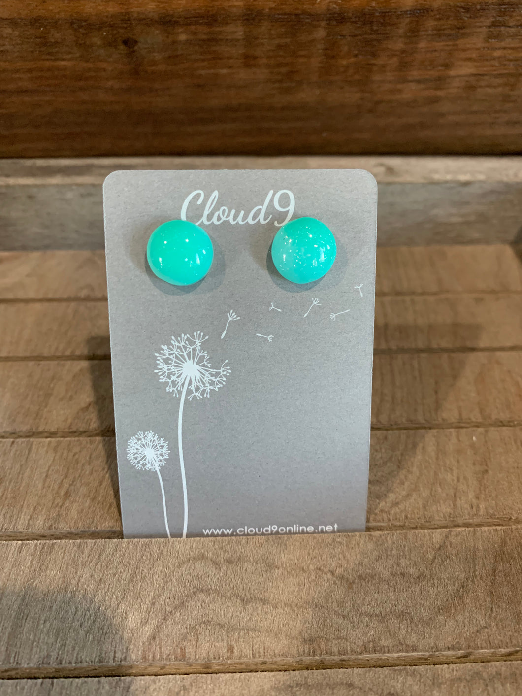 Raw Druzy pop earrings