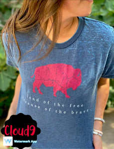 Land of the Free T-shirt