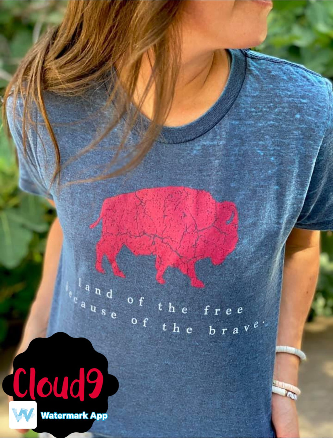 Land of the Free T-shirt