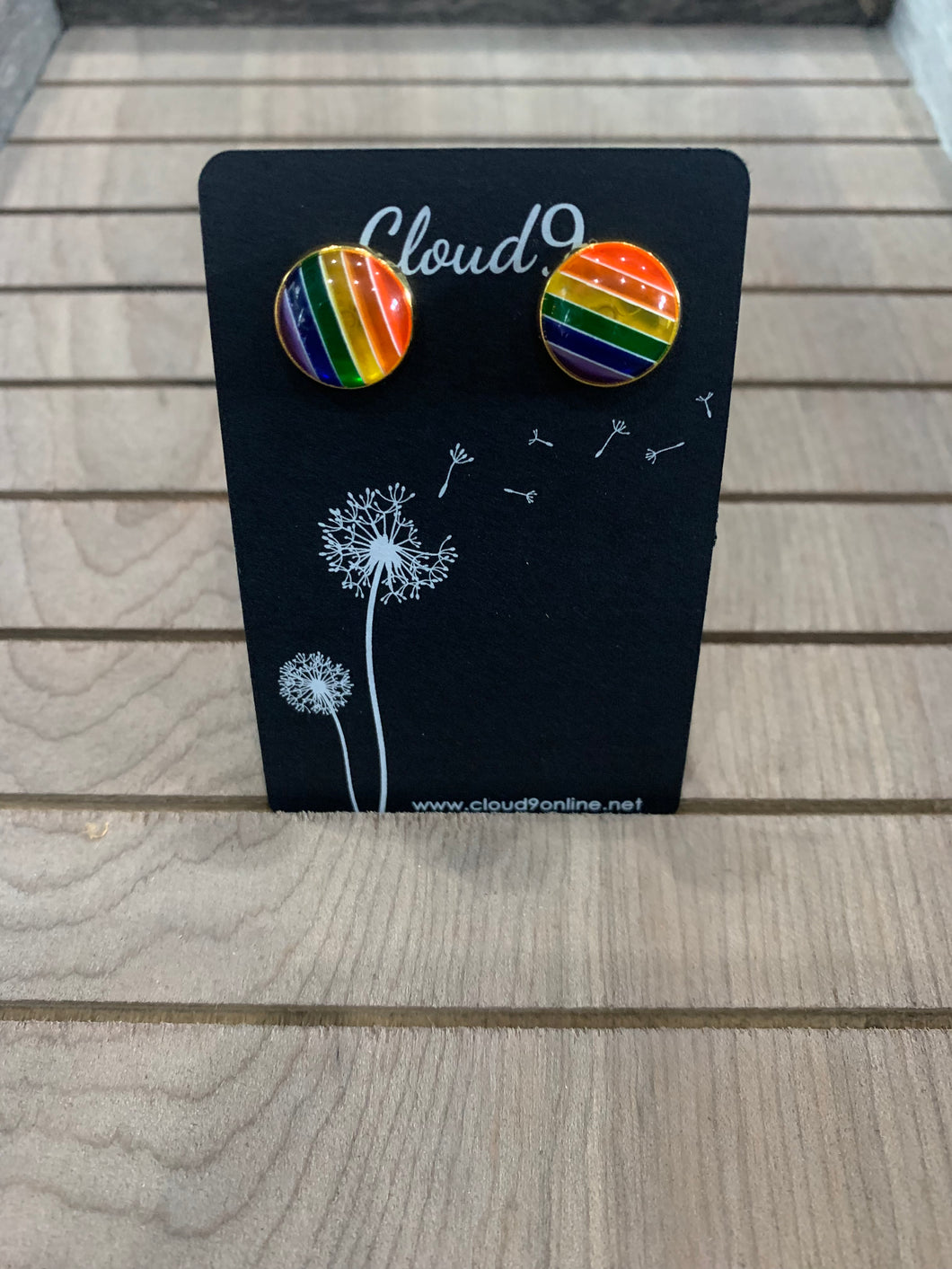 Rainbow Earrings